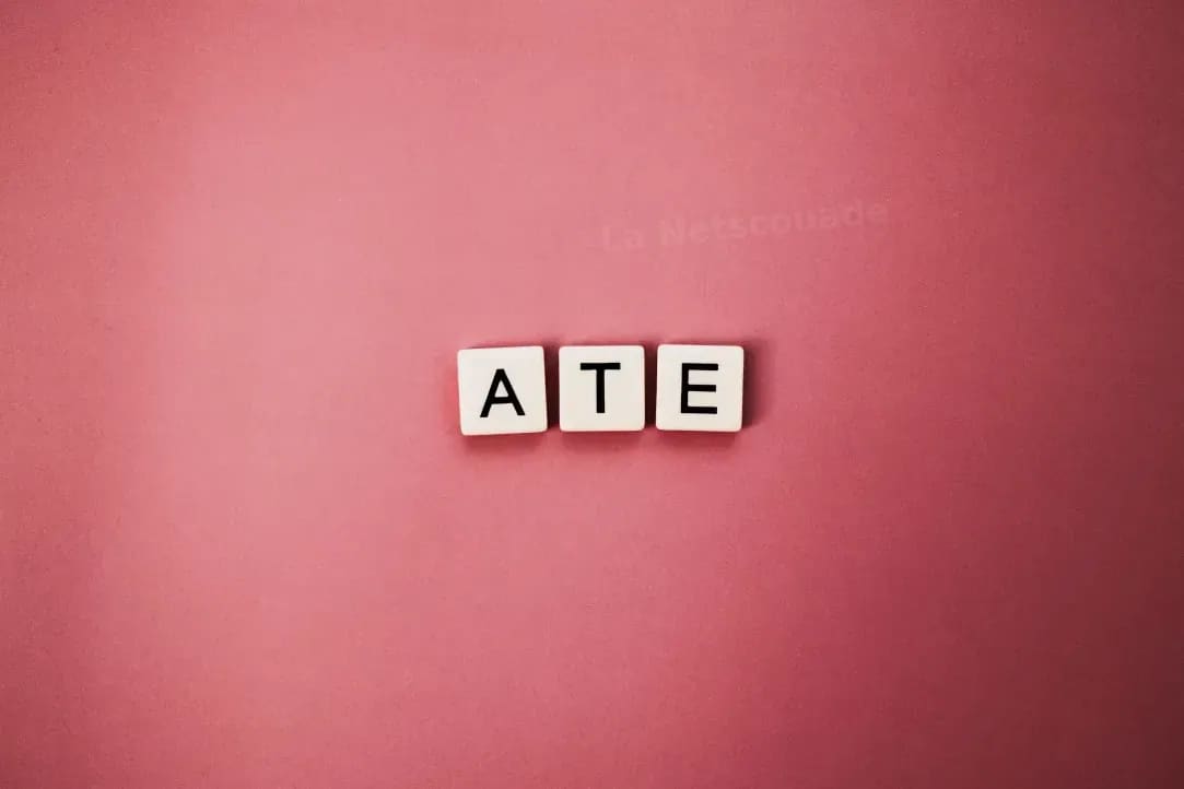 La Netscouade 9